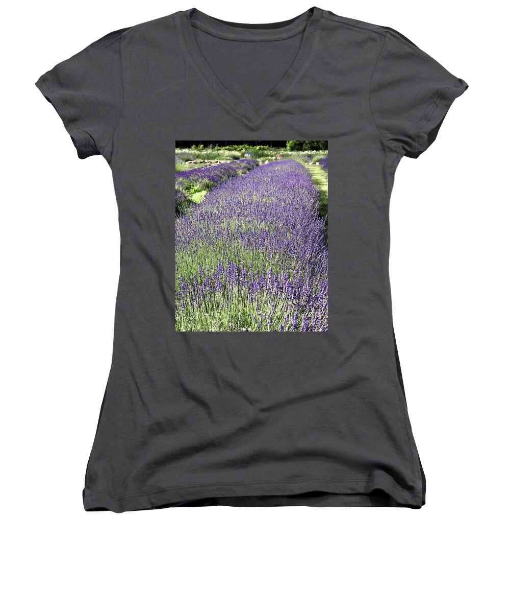 Lavender Women's V-Neck featuring the photograph Lavender by Rod Best