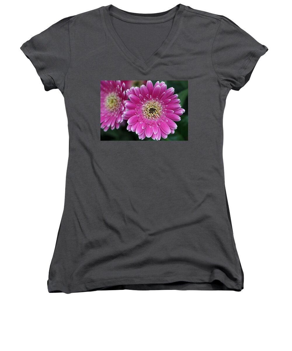 Flower Women's V-Neck featuring the photograph Layers Of Spring by Pamela Critchlow