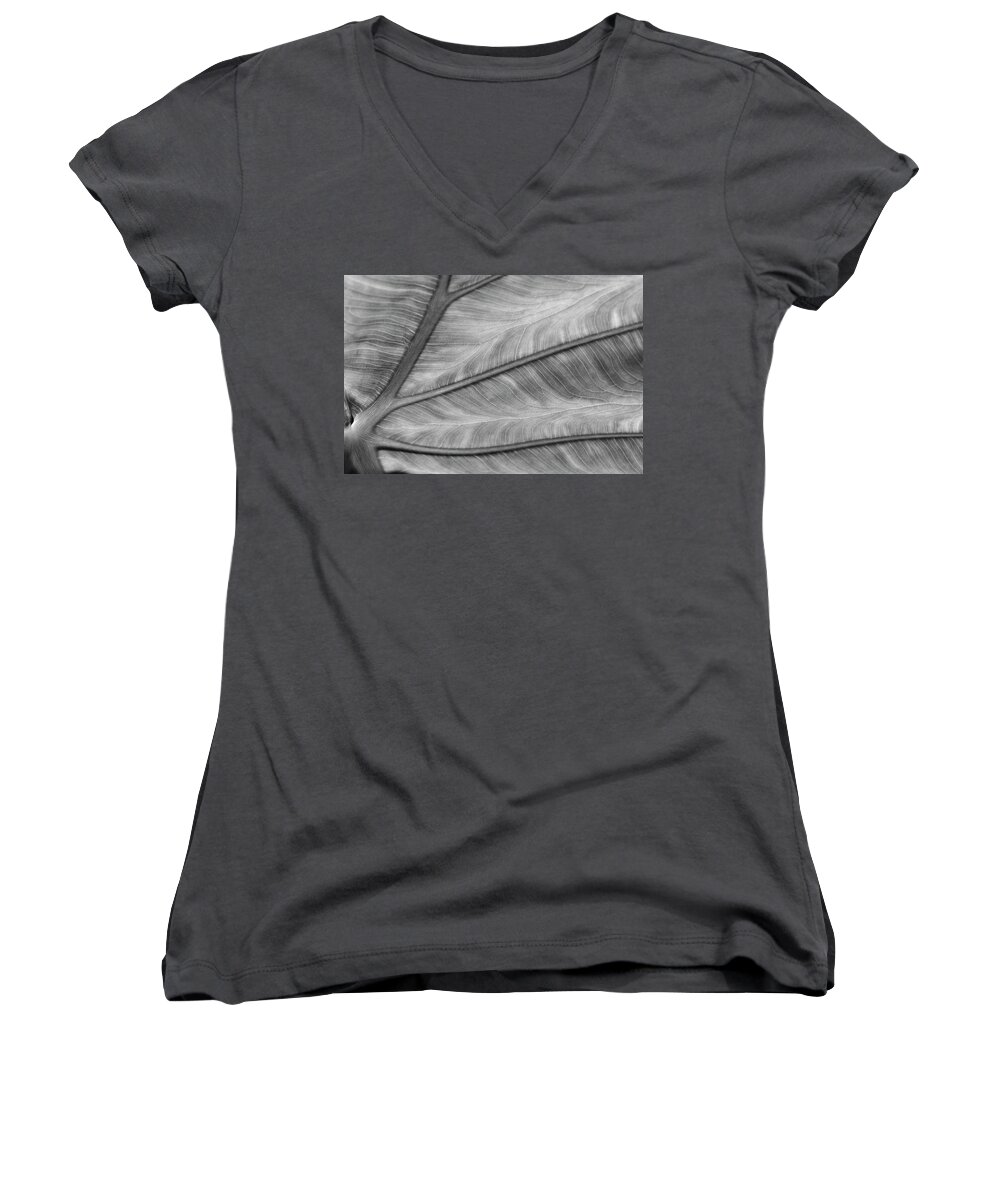 Wall Art Women's V-Neck featuring the photograph Leaf Abstraction by Jeffrey PERKINS