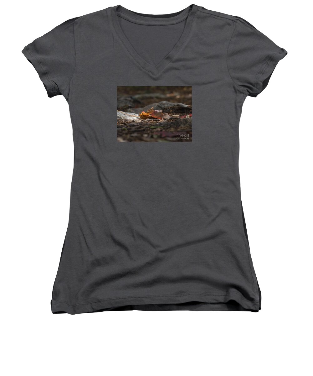 Path Women's V-Neck featuring the photograph Leaf by Lili Feinstein