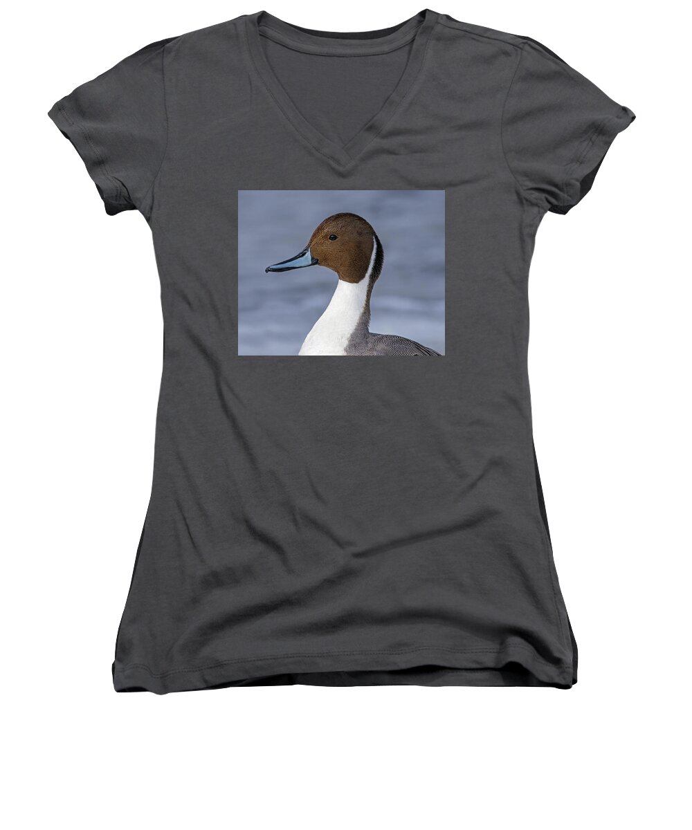Northern Pintail Women's V-Neck featuring the photograph Lean by Tony Beck