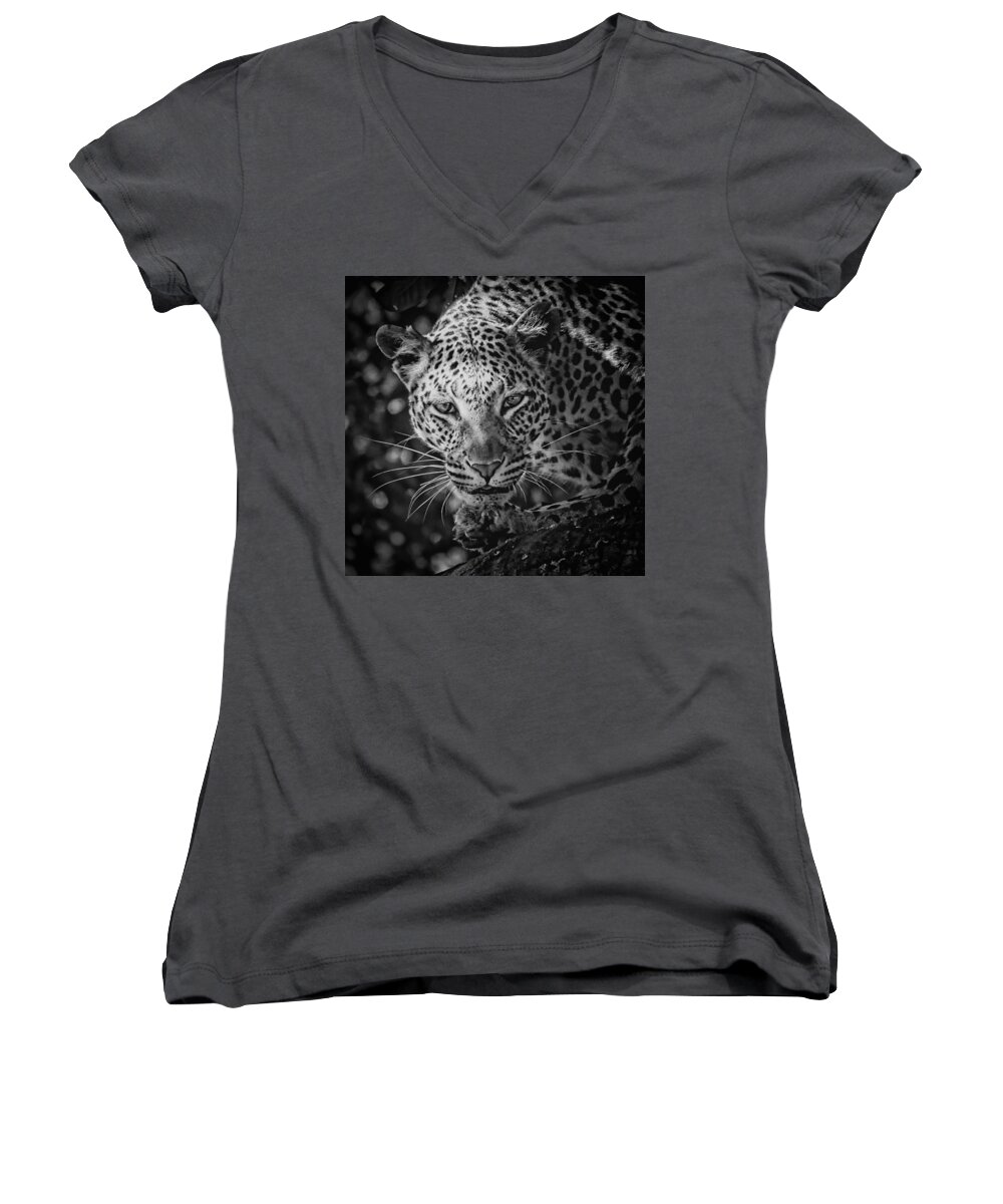 Leopard Women's V-Neck featuring the photograph Leopard, Black And White by Jean Francois Gil