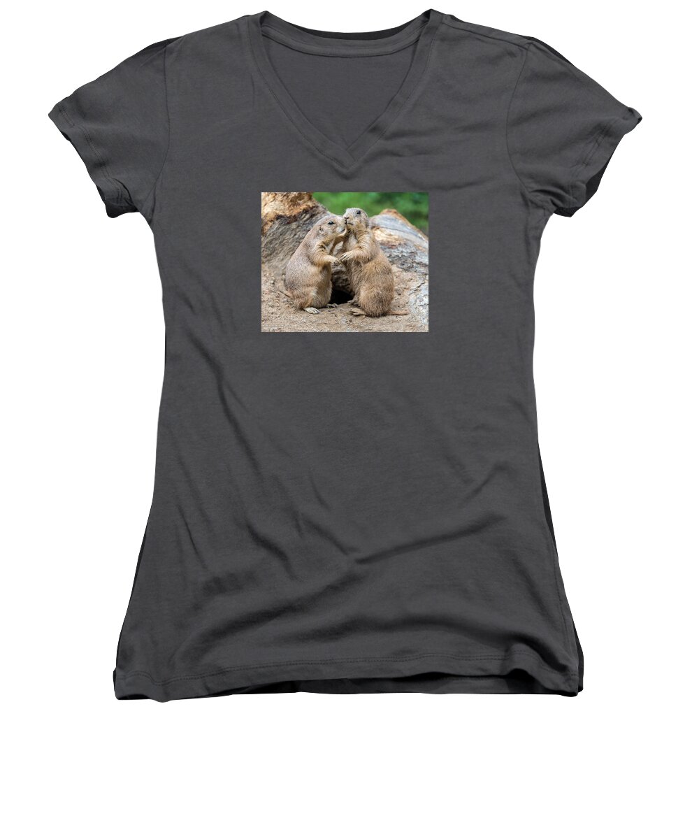 Prairie Dog Women's V-Neck featuring the photograph Let's Fall In Love by William Bitman