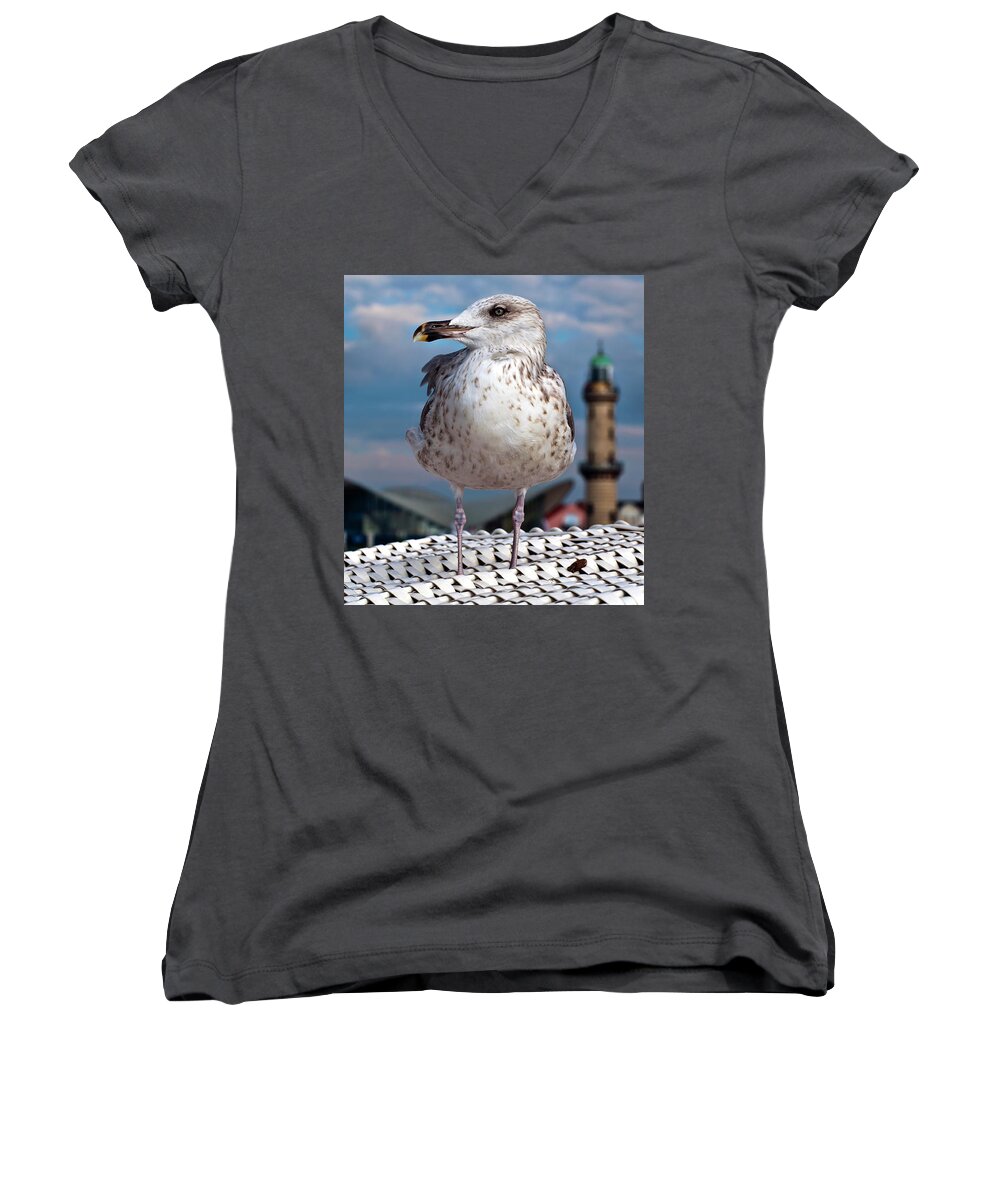 Pacific Gull Women's V-Neck featuring the photograph Liberty of an Pacific Gull by Silva Wischeropp