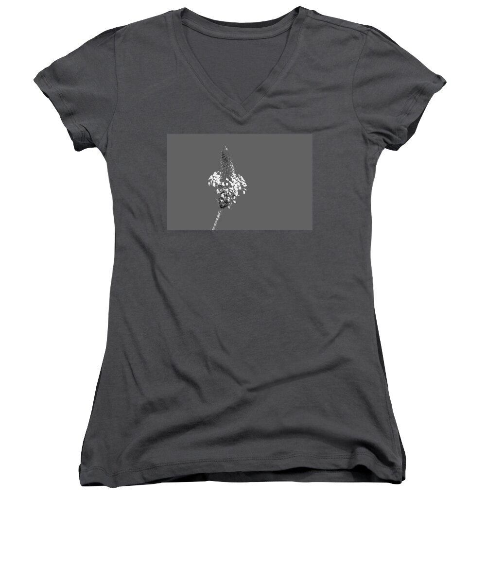 Flowers Women's V-Neck featuring the photograph Light Grey Plantain by Richard Patmore