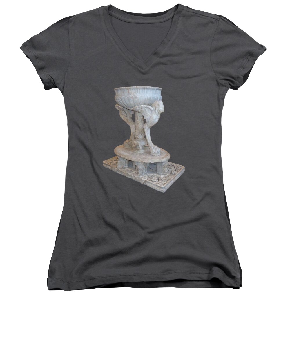 Photography Women's V-Neck featuring the photograph Lion Guardian by Francesca Mackenney