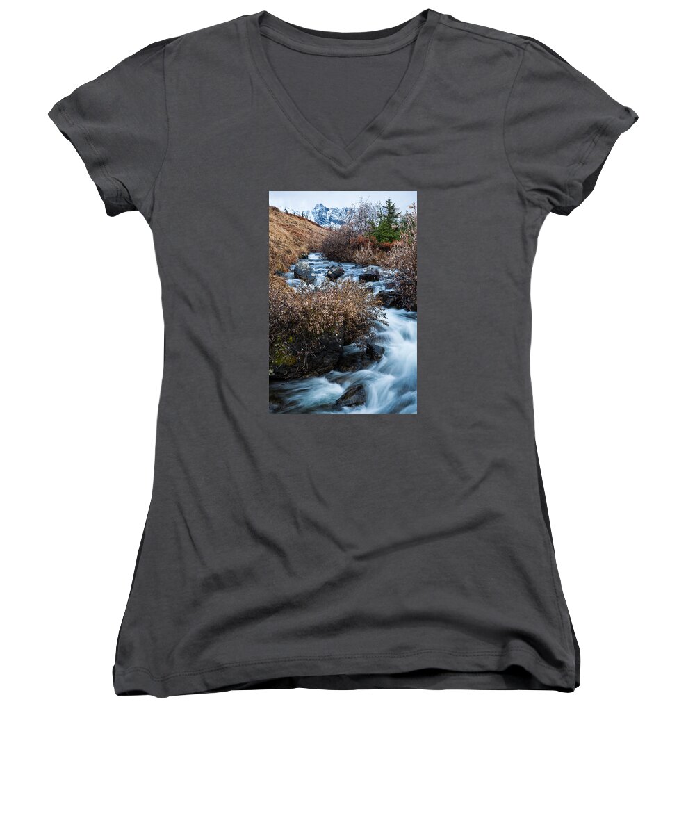 Winter Women's V-Neck featuring the photograph Liquid Winter by Tim Newton