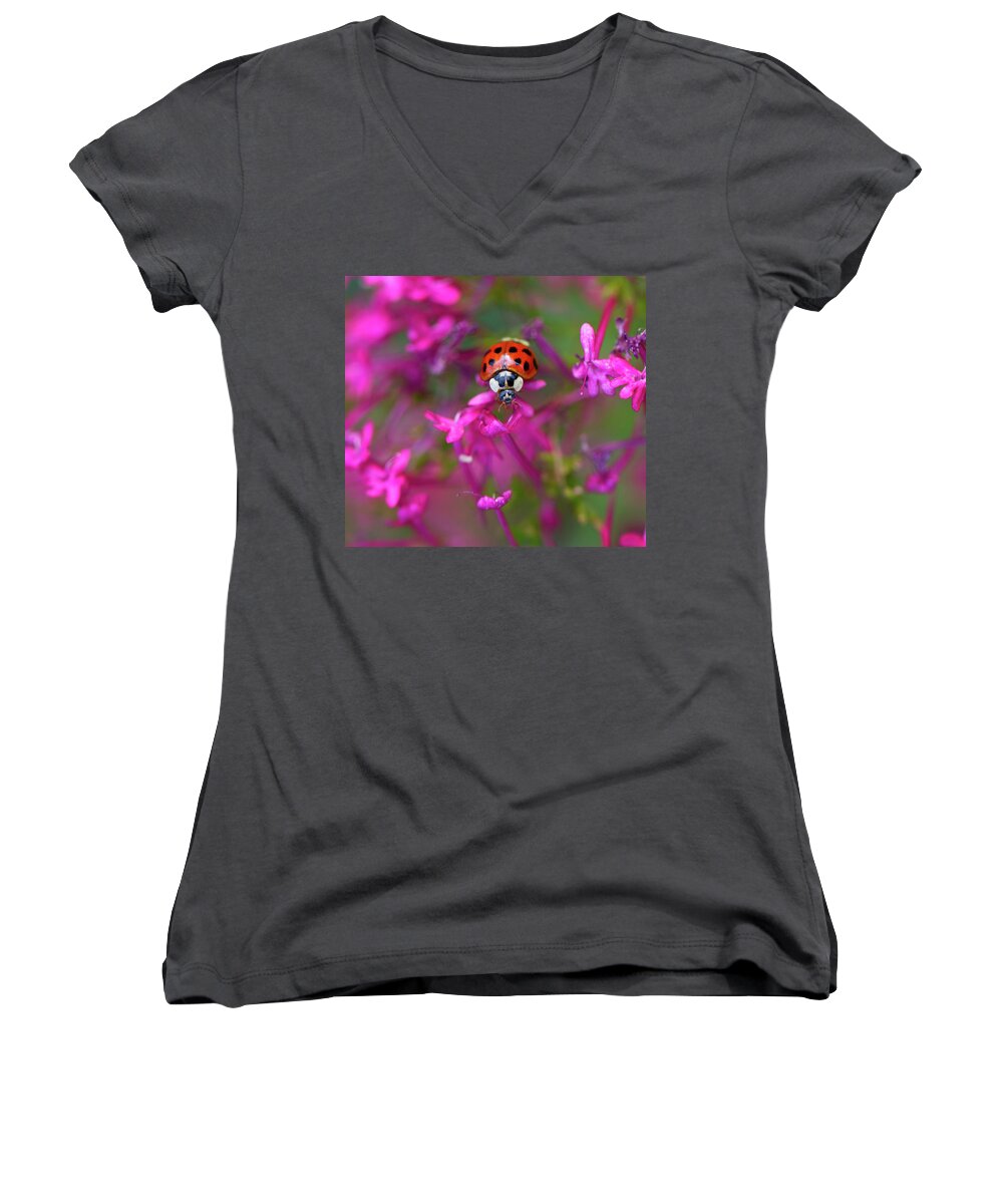 Bug Women's V-Neck featuring the photograph Little Lady by Shelley Neff