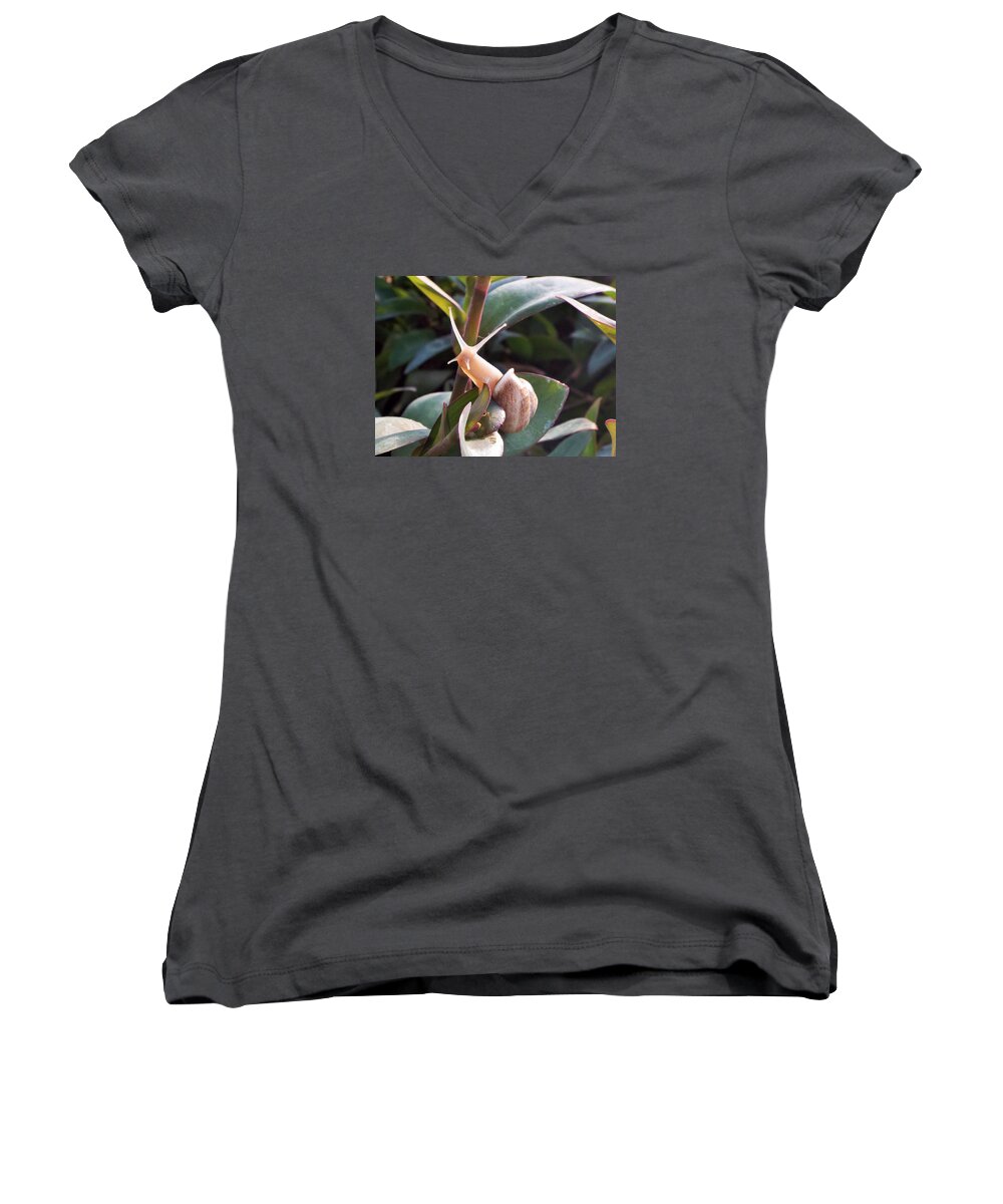 Snail Women's V-Neck featuring the photograph little Victory by Michael Dillon