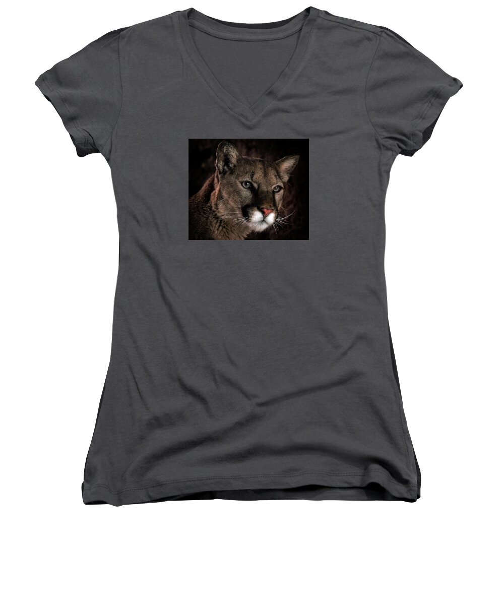 Mountain Lions Women's V-Neck featuring the photograph Locked Onto Prey by Elaine Malott