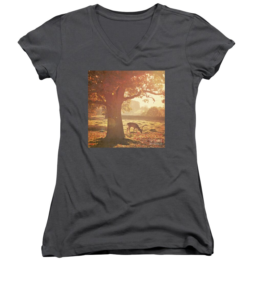 Deer Women's V-Neck featuring the photograph Lone Deer by Lyn Randle