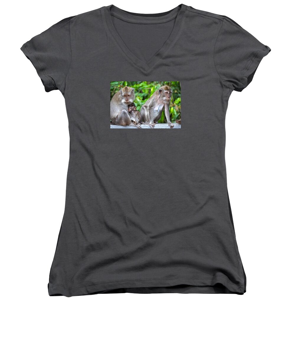 Long Tailed Macaque Women's V-Neck featuring the photograph Long Tailed Macaques by Cassandra Buckley