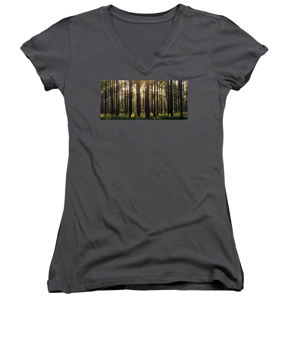 Longleaf Pine Forest Women's V-Neck featuring the photograph Longleaf Pine Forest by Joshua Bales