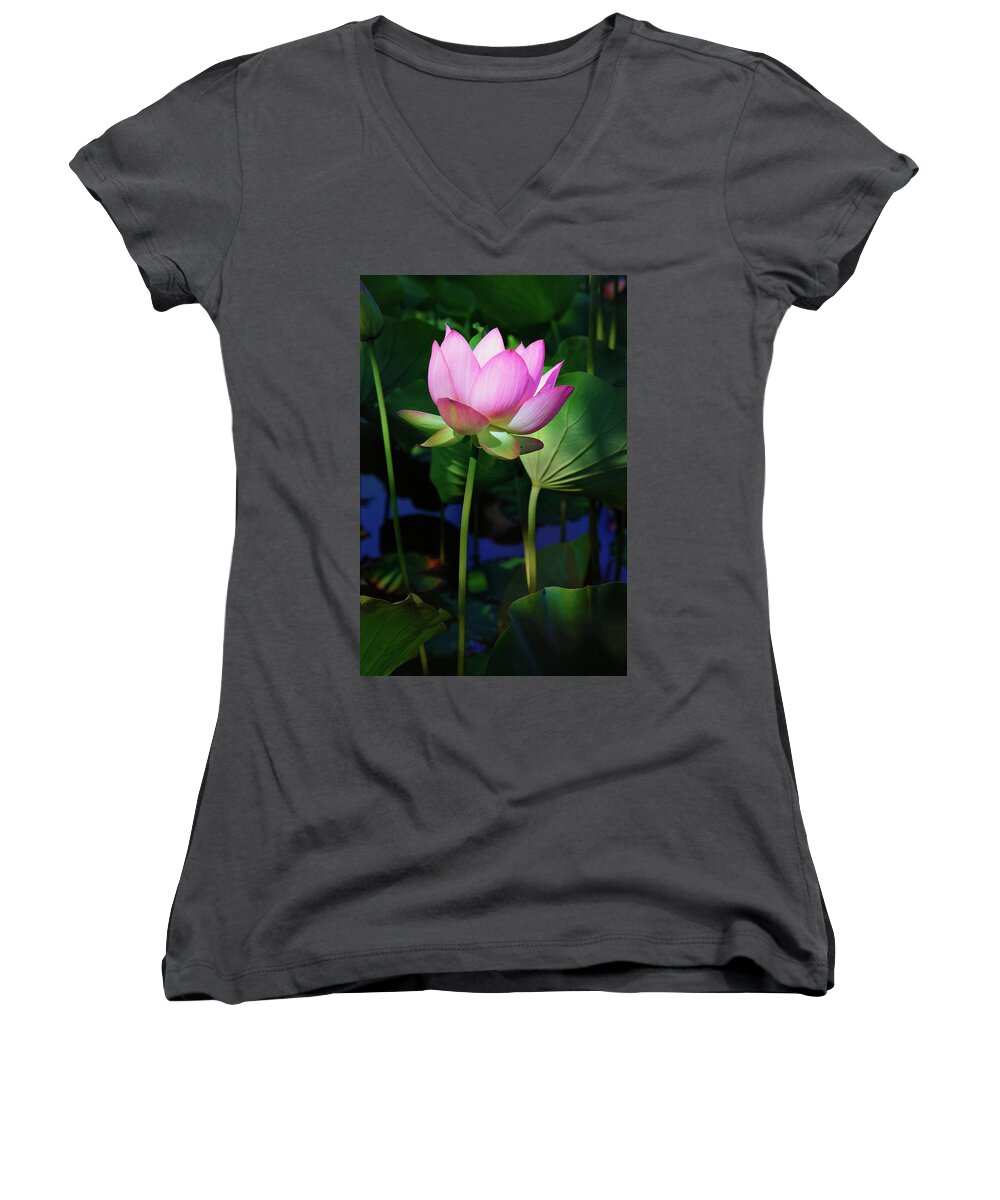 Lotus Bloom Women's V-Neck featuring the photograph Lotus Flower by Ram Vasudev