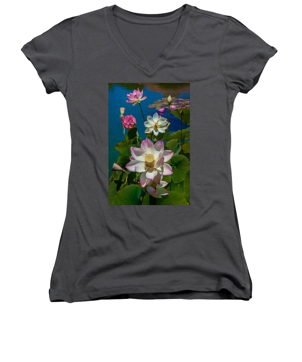 Lotus Women's V-Neck featuring the photograph Lotus Pool by Chris Lord