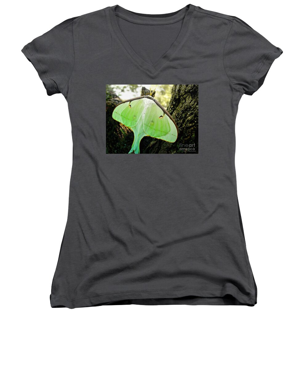 Macro Women's V-Neck featuring the photograph Luna Moth No. 3 by Todd Blanchard