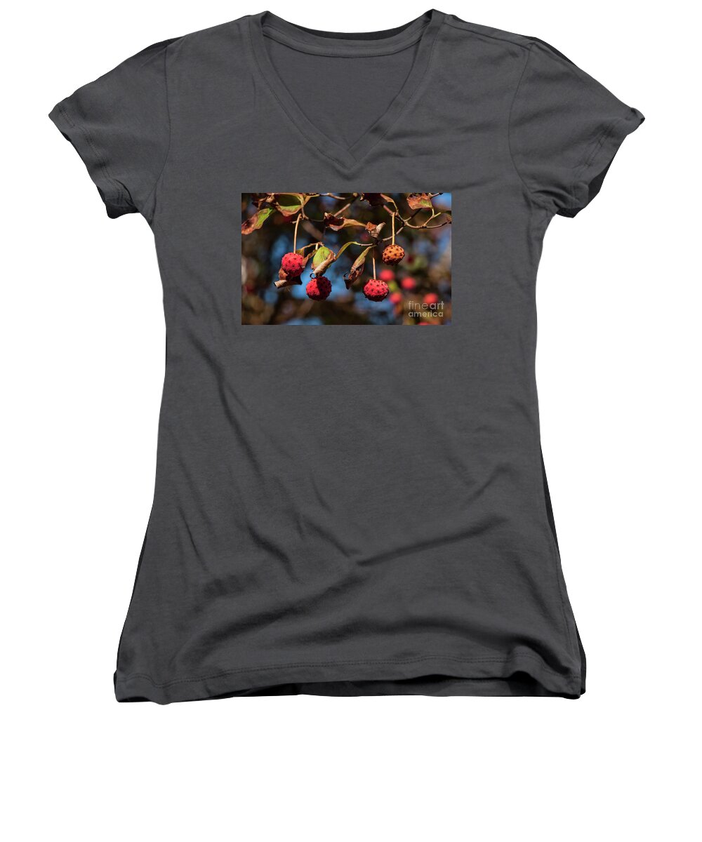 Lychee Women's V-Neck featuring the photograph Lychees by Jeff Breiman