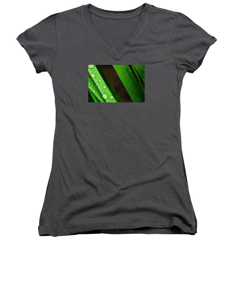 Abstract Women's V-Neck featuring the photograph Macro closeup of Waterdrops on a Leaf by John Williams