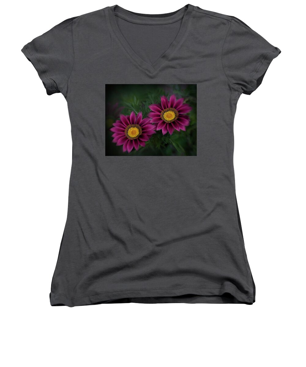 Botany Women's V-Neck featuring the photograph Magenta African Daisies by David and Carol Kelly