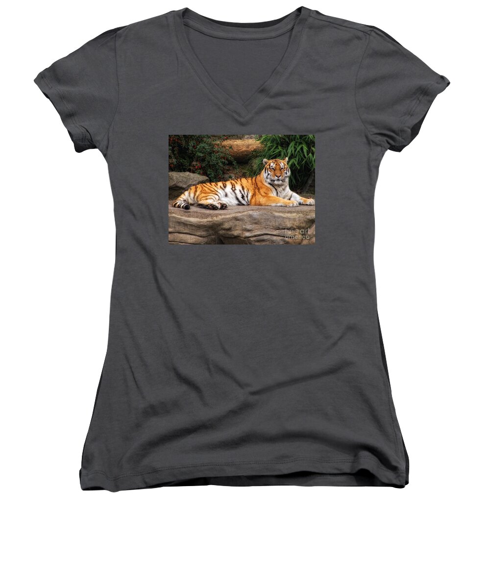 Tiger Women's V-Neck featuring the photograph Majestic by Shari Nees