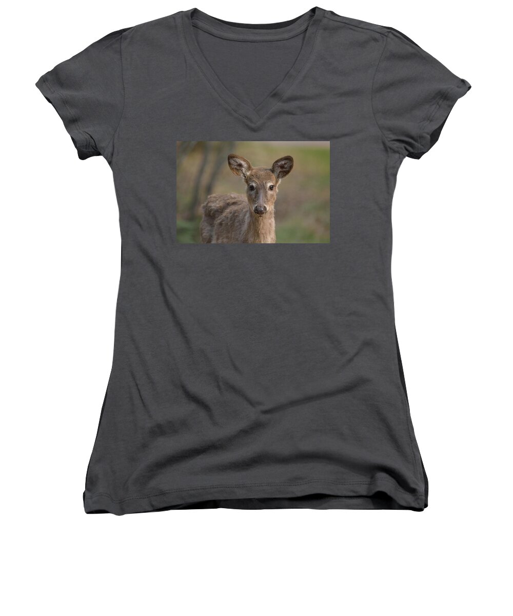 Outdoor Women's V-Neck featuring the photograph Male Whitetail Deer Yearling by David Porteus