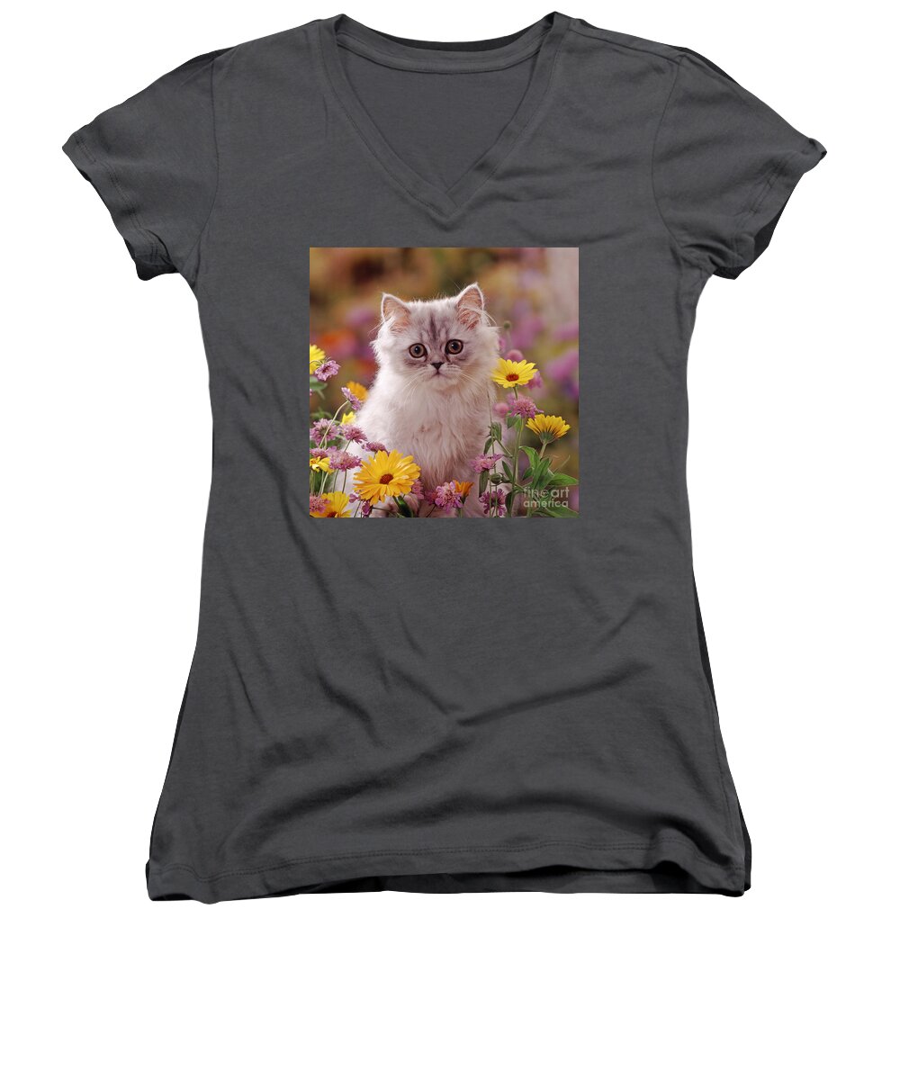 Fluffy Women's V-Neck featuring the photograph Marigold Chinchilla by Warren Photographic