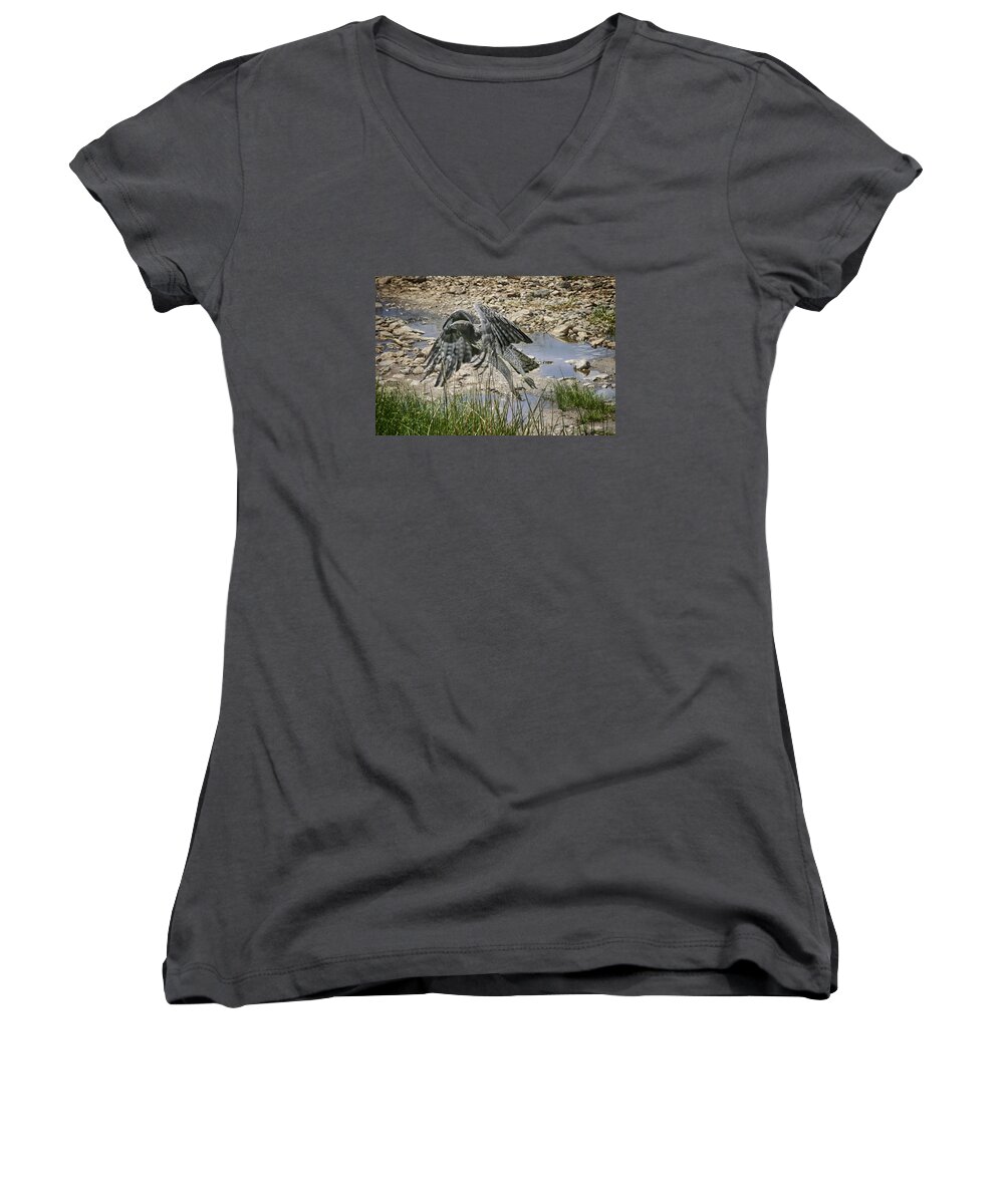 Gary Hall Women's V-Neck featuring the photograph Martial Eagle by Gary Hall