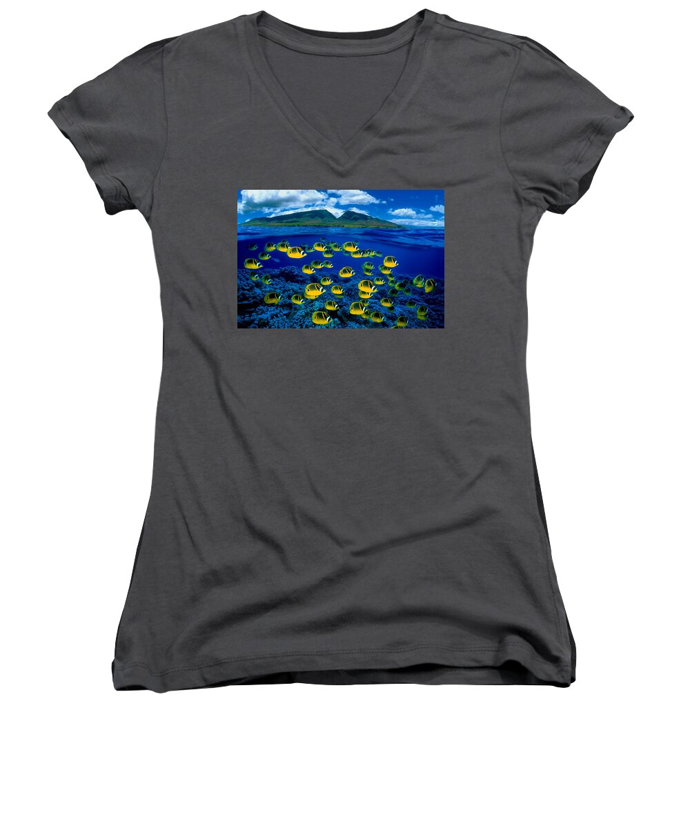 B1929 Women's V-Neck featuring the photograph Maui Butterflyfish by Dave Fleetham - Printscapes