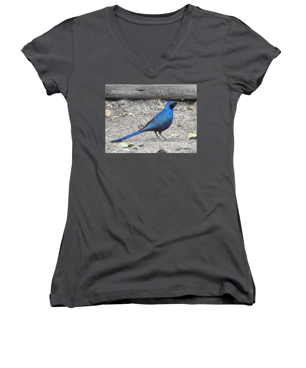 Starling Women's V-Neck featuring the photograph Meve's Starling by Betty-Anne McDonald