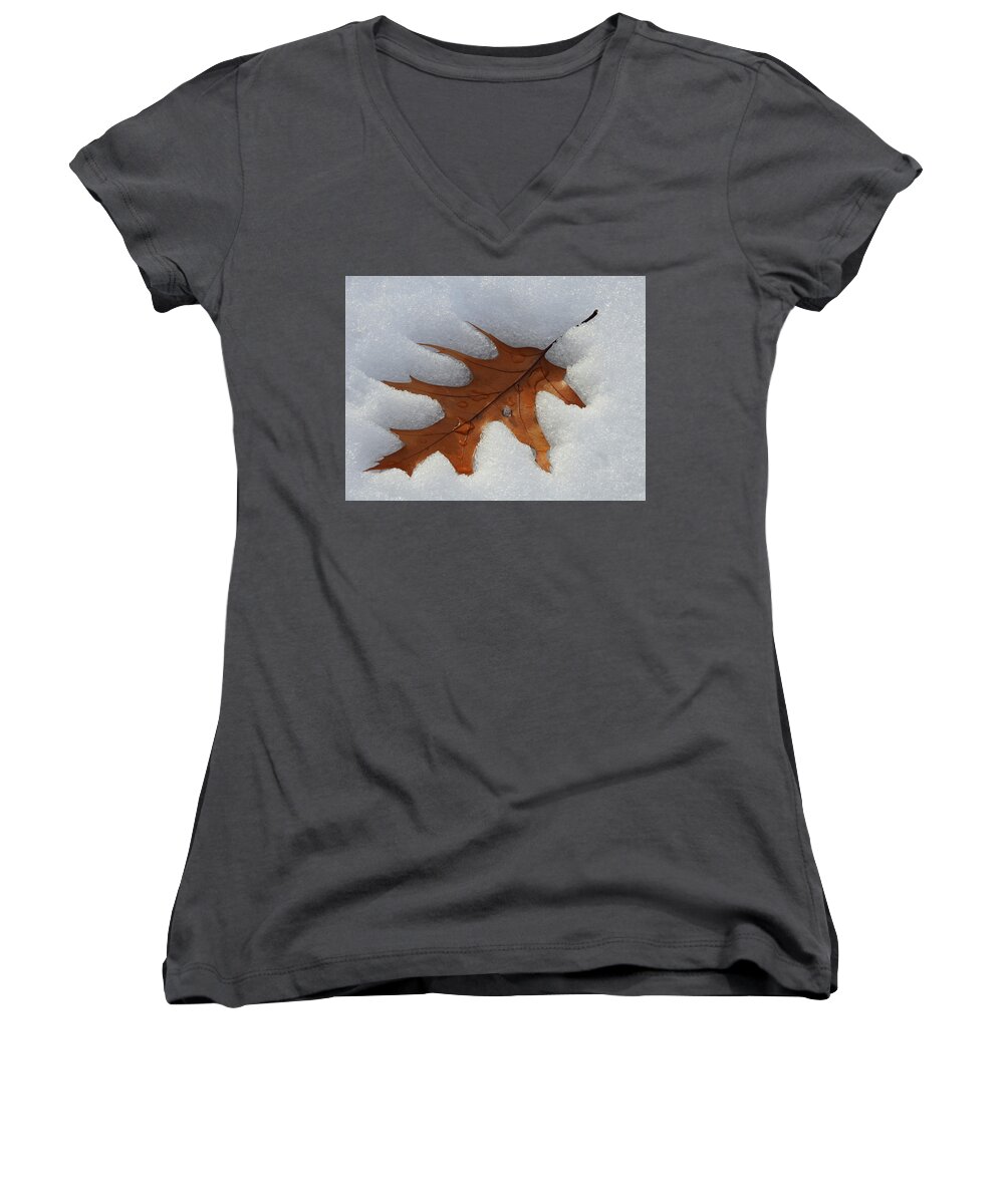 Leaf Women's V-Neck featuring the photograph Mighty Oak by Betty-Anne McDonald