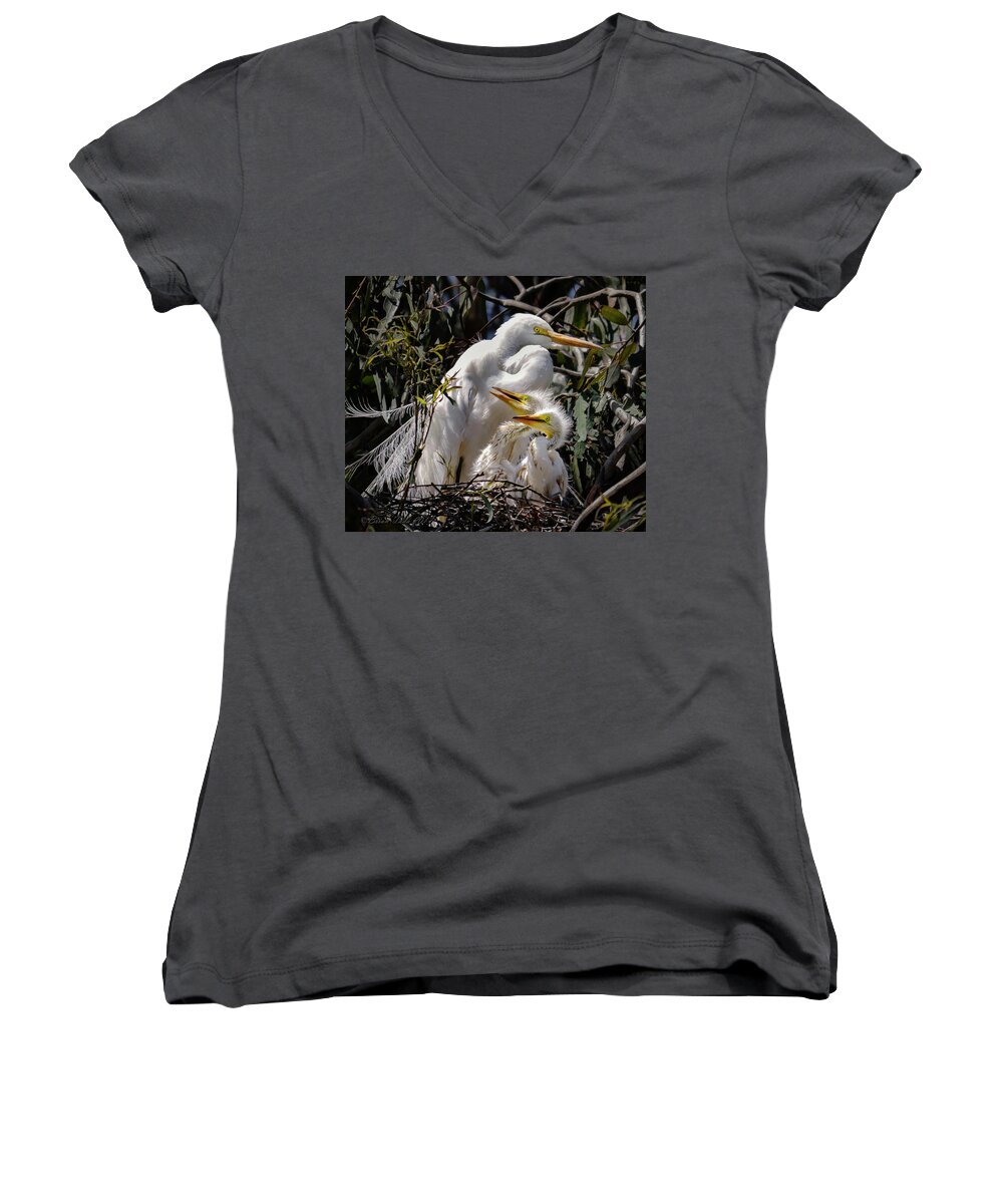 Wildlife Women's V-Neck featuring the photograph Mom's Watchful Eye by Brian Tada