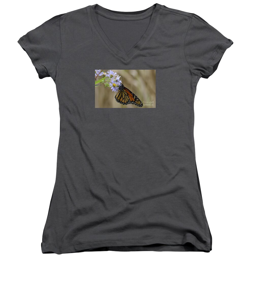 High Virginia Images Women's V-Neck featuring the photograph Monarch 2015 by Randy Bodkins