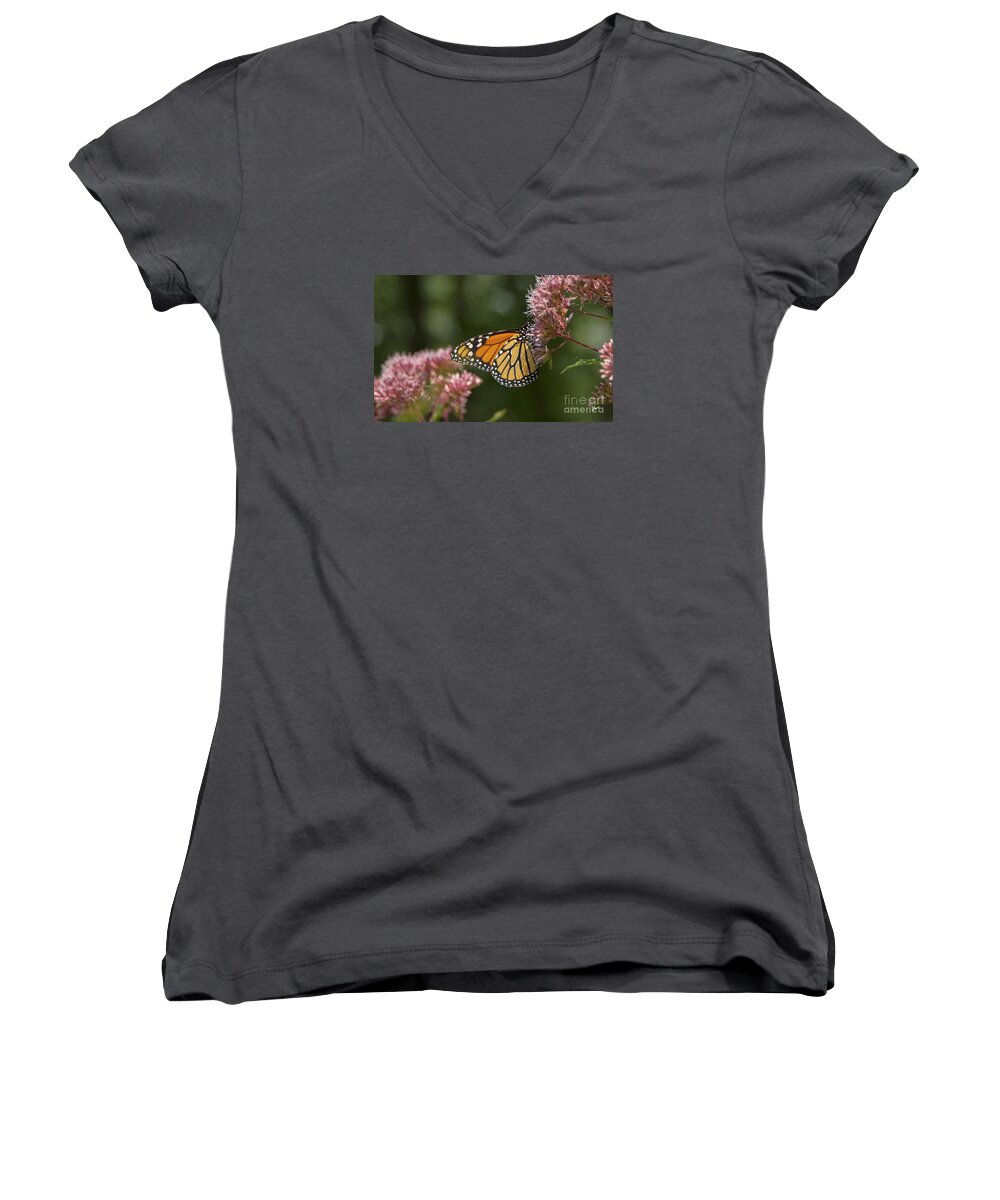 Maine Women's V-Neck featuring the photograph Monarch Butterfly by Alana Ranney