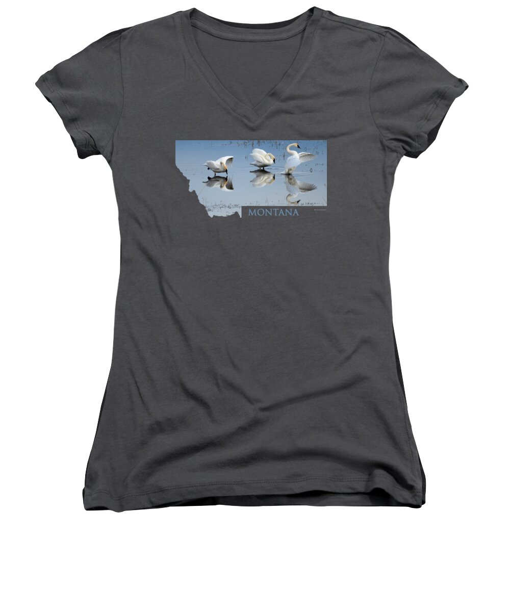 Trumpeter Swans Women's V-Neck featuring the photograph Montana- Swan Ballet by Whispering Peaks Photography