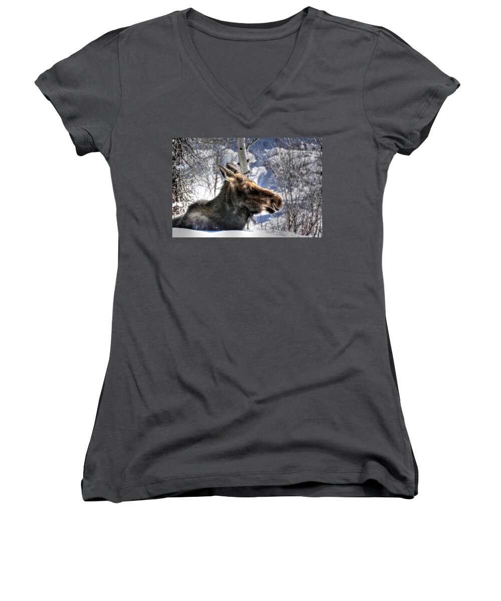 Moose Women's V-Neck featuring the photograph Moose on the Loose by Don Mercer