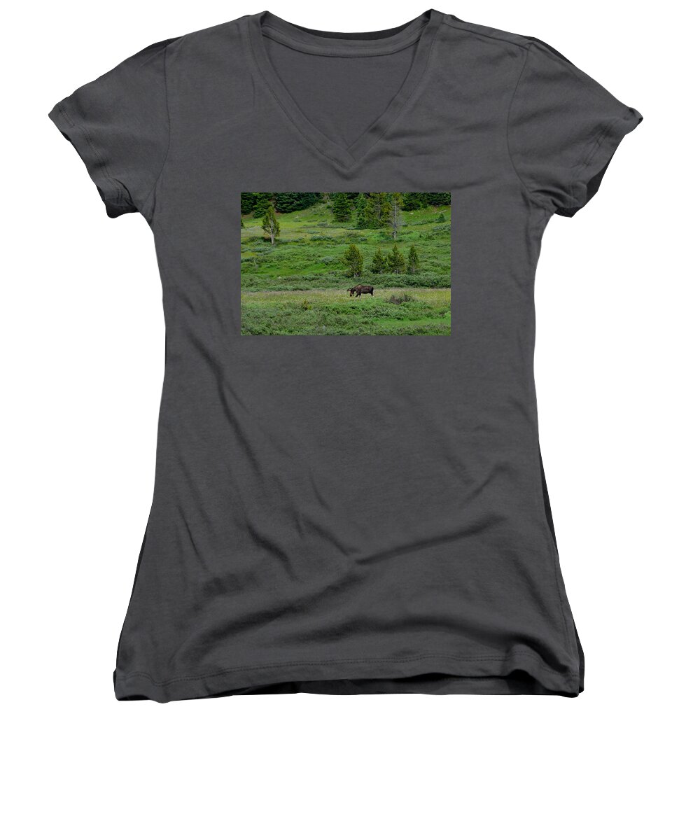 Moose Women's V-Neck featuring the photograph Moose on the Loose by Tranquil Light Photography