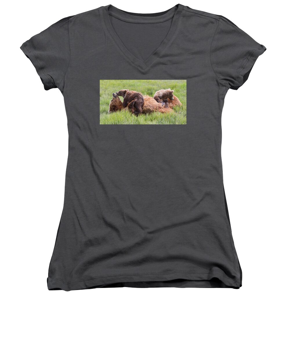 Grizzly Bears Women's V-Neck featuring the photograph Mother Grizzly Suckling Twin Cubs by Mark Harrington