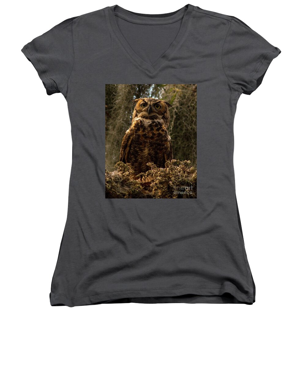 Owl Women's V-Neck featuring the photograph Mother Owl Posing by Jane Axman