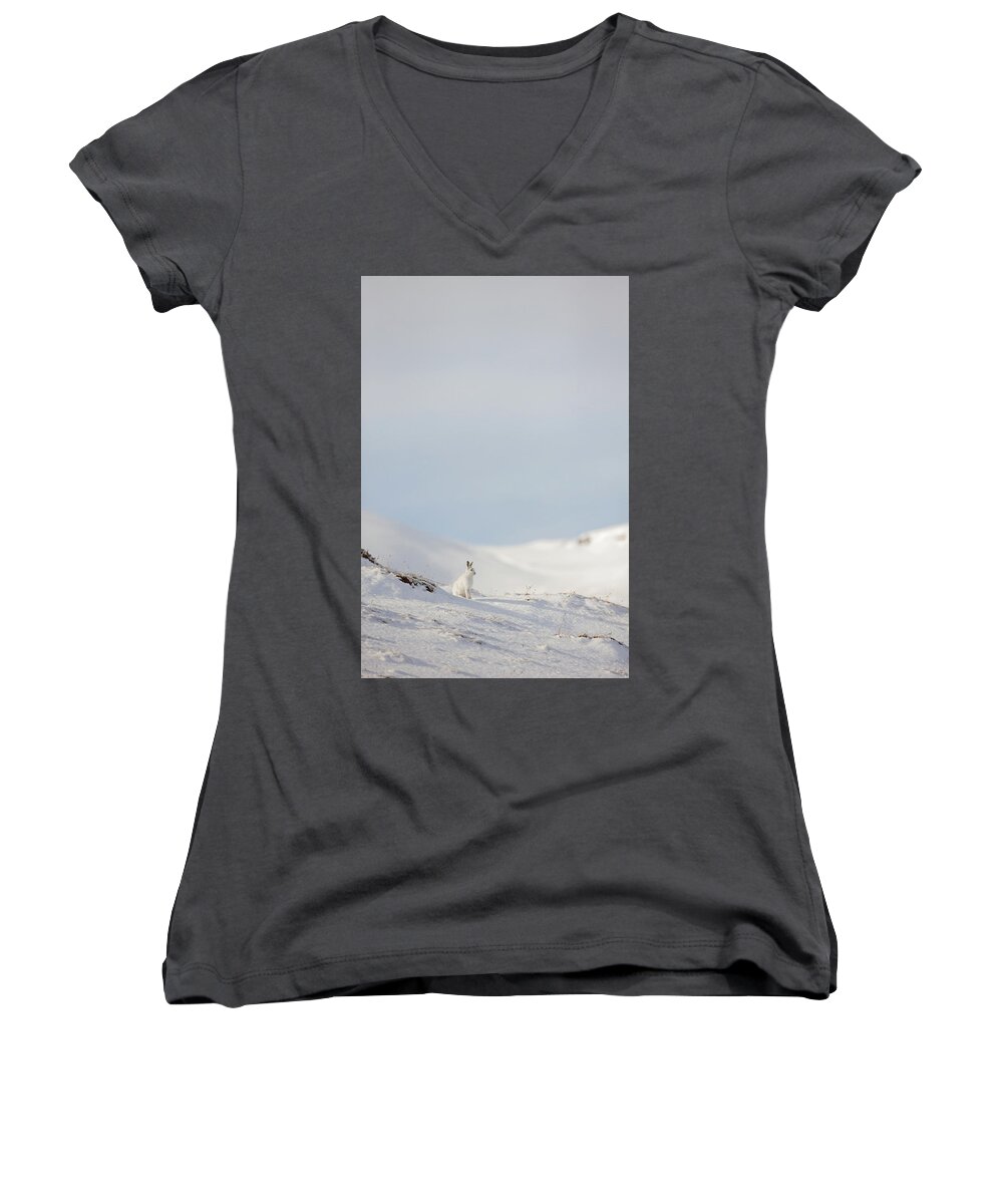 Mountain Women's V-Neck featuring the photograph Mountain Hare On Hillside by Pete Walkden