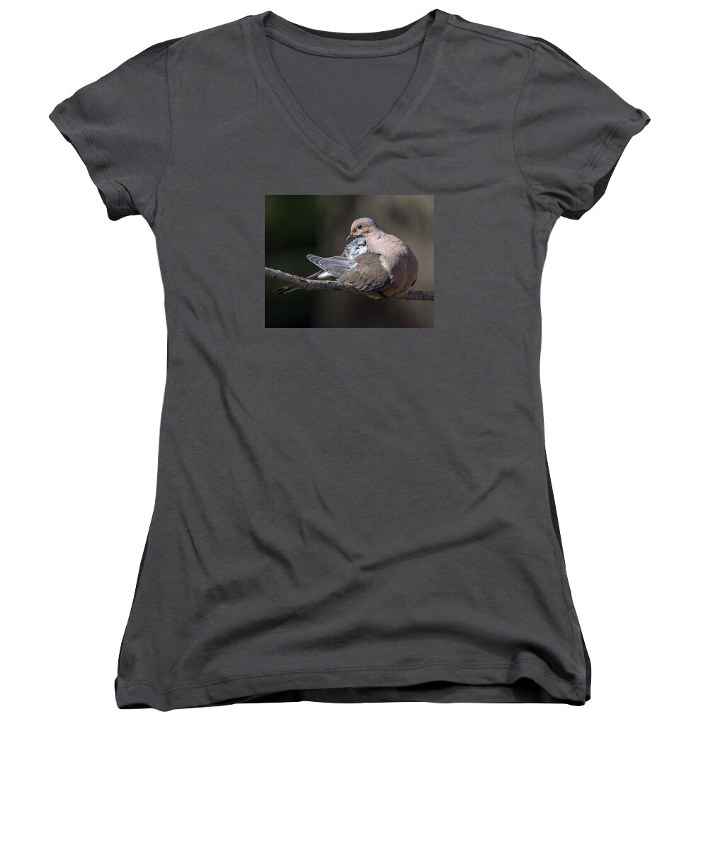 Wildlife Women's V-Neck featuring the photograph Mourning dove profile by William Bitman