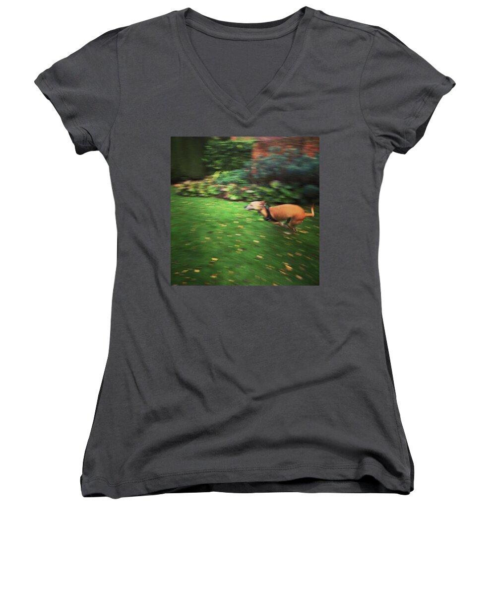 Lurcher Women's V-Neck featuring the photograph Mr Finly Enjoying A Few Rapid Laps Of by John Edwards