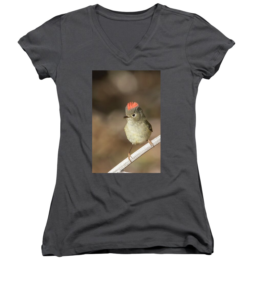 Ruby-crowned Women's V-Neck featuring the photograph Mr Kinglet by Mircea Costina Photography