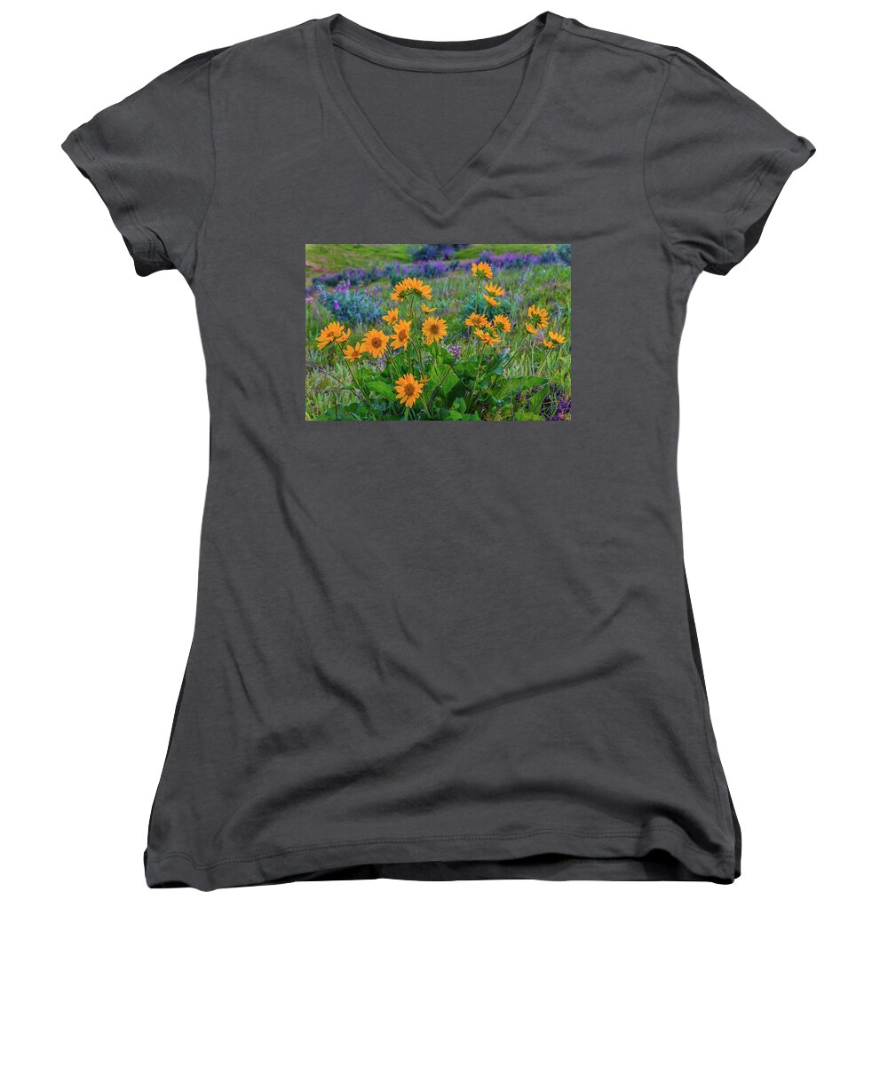 Landscape Women's V-Neck featuring the photograph Mule's Ear and Lupine by Marc Crumpler