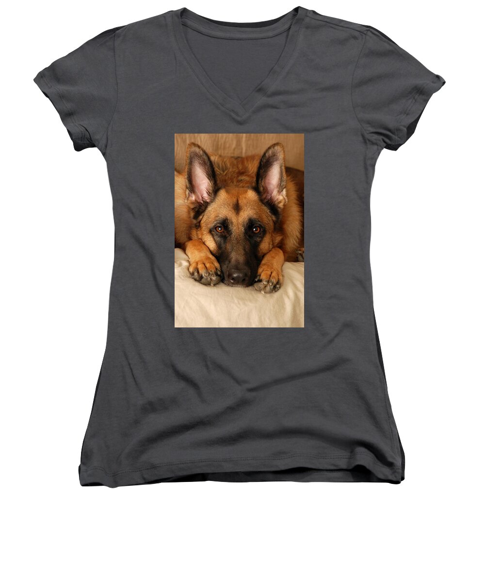 German Shepherd Dogs Women's V-Neck featuring the photograph My Loyal Friend by Angie Tirado