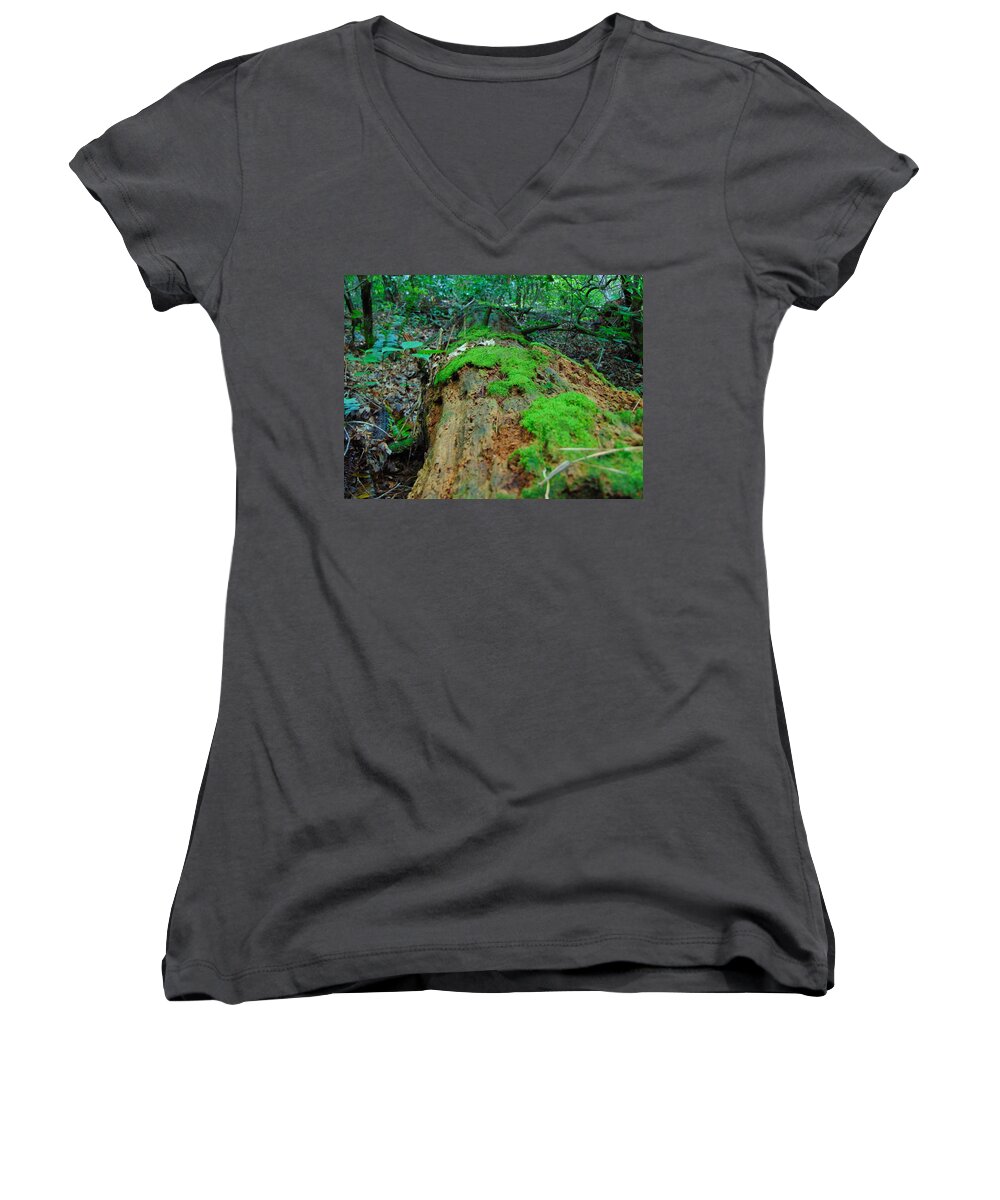 Decay Women's V-Neck featuring the photograph Nature's Art by Richie Parks