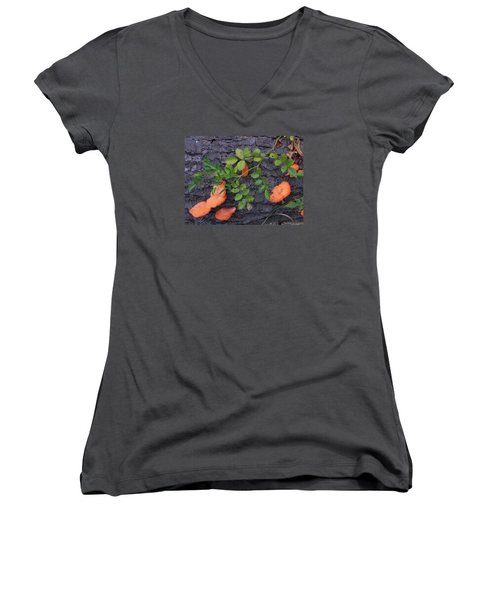 Nature Women's V-Neck featuring the painting Nature's Beauty by Christine Lathrop