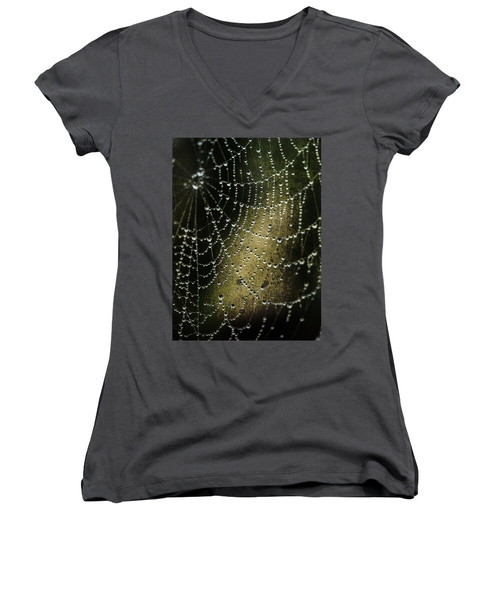 Spider Webs And Fog Women's V-Neck featuring the photograph Nature's Lure by Paula Ponath
