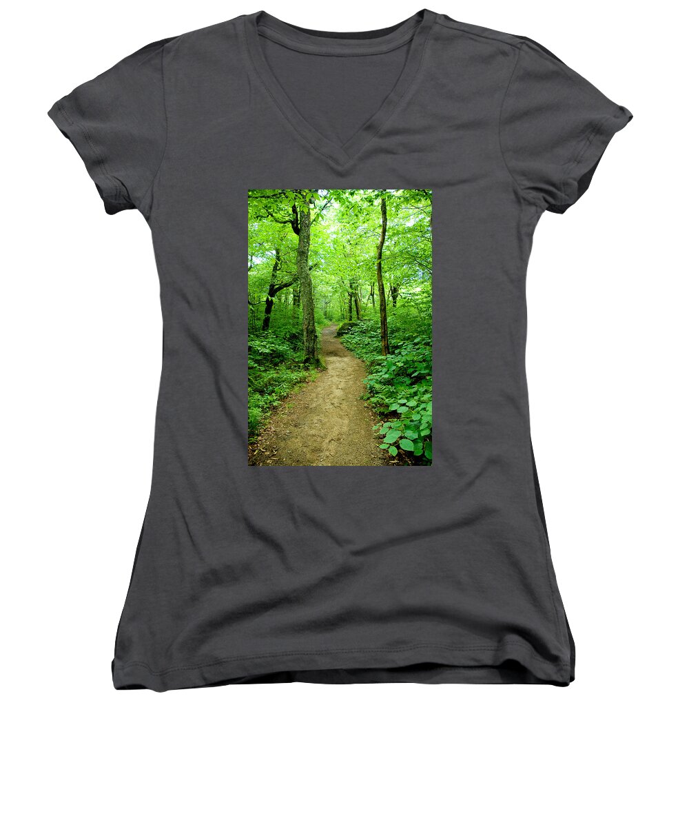 Trees Women's V-Neck featuring the photograph Nature's Path by Greg Fortier