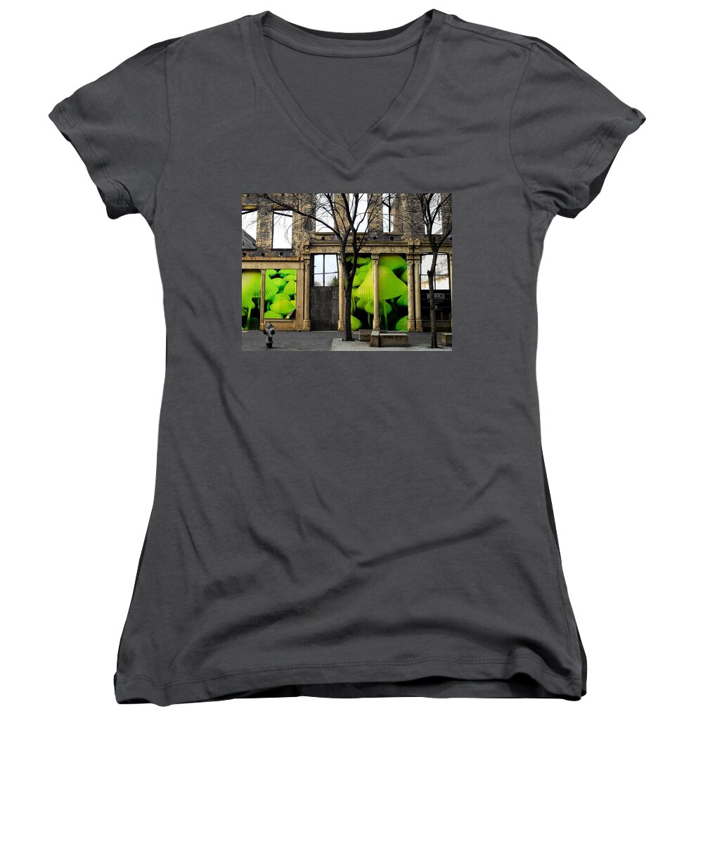 Kentucky Women's V-Neck featuring the photograph New Growth by Christopher Brown