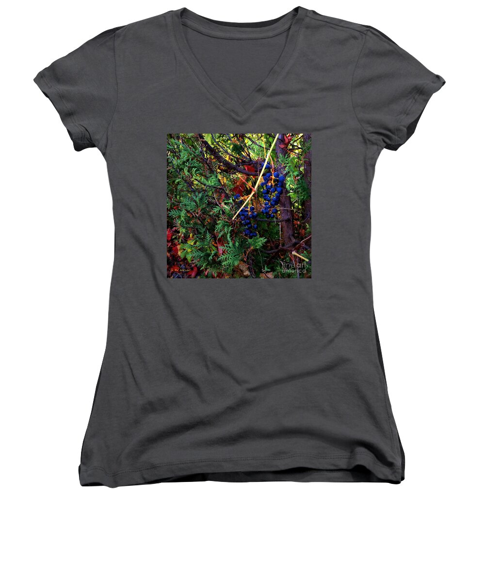 Autumn Women's V-Neck featuring the painting October Potpourri by RC DeWinter